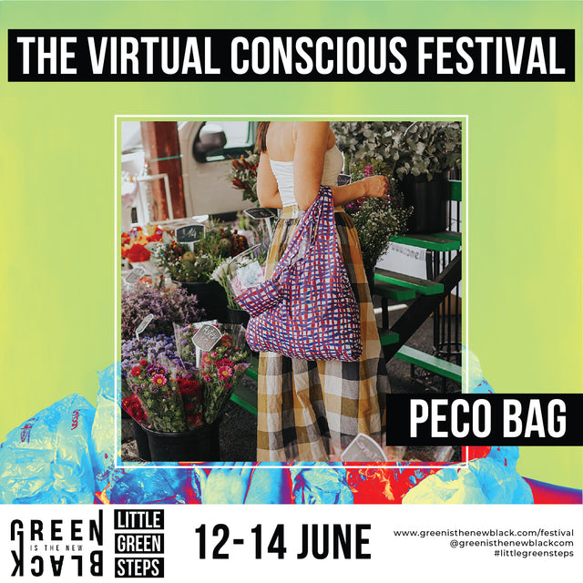 The Virtual Conscious Festival